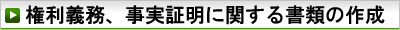 詳細解説　権利義務・事実証明に関する書類の作成